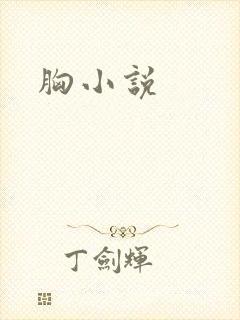 胸小说