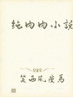 纯肉肉小说