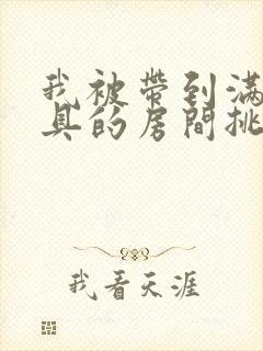 我被带到满是玩具的房间挑调游戏