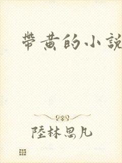 带黄的小说
