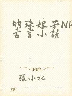 明珠娘子NPC古言小说