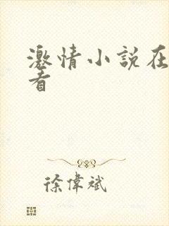 激情小说在线观看