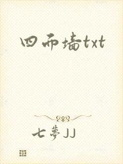 四面墙txt