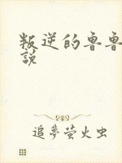 叛逆的鲁鲁修小说