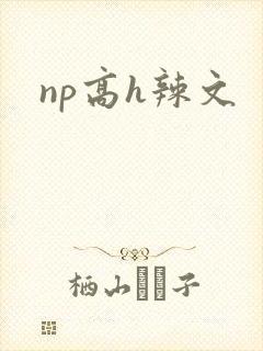 np高h辣文