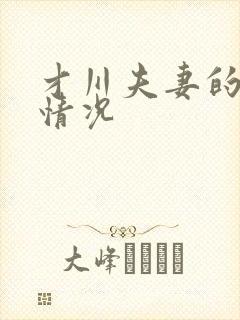 才川夫妻的恋爱情况