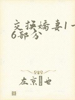 交换娇妻1一36部分