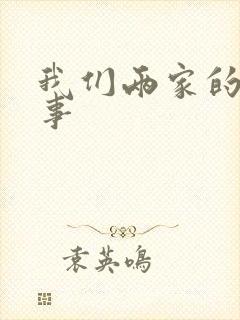 我们两家的荒唐事