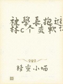 被学长抱进小树林c个爽软件