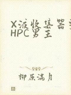 X液收集器系统HPC男主