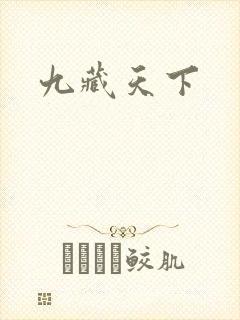 九藏天下
