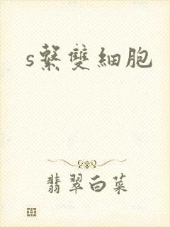 s系双细胞