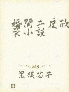 婚开二度欣欣向荣小说