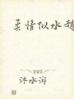 柔情似水赵雅儿