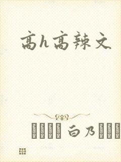高h高辣文