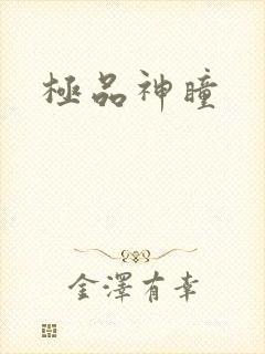 极品神瞳