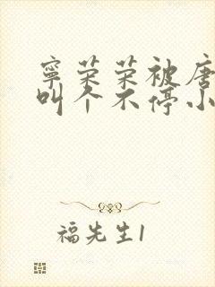 宁荣荣被唐三桶叫个不停小说