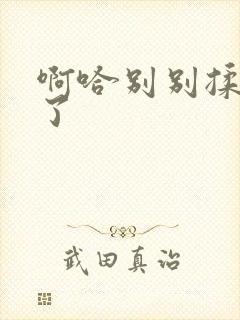 啊哈别别揉那处了