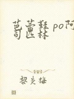 芭蕾鞋 po阿司匹林