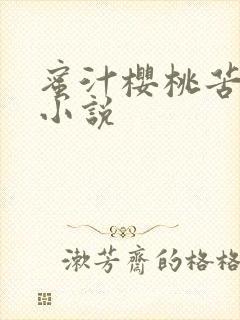 蜜汁樱桃苦咖啡小说