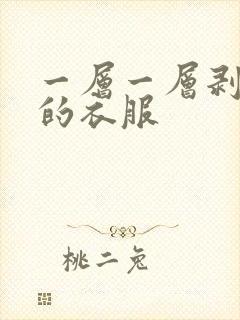 一层一层剥掉你的衣服