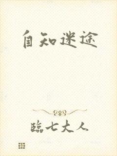 自知迷途