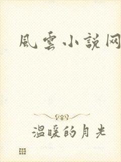 风云小说网