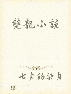 双龙小说