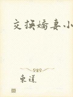 交换娇妻小说