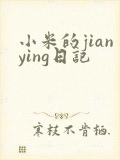 小米的jianying日记