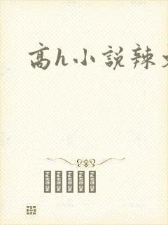 高h小说辣文