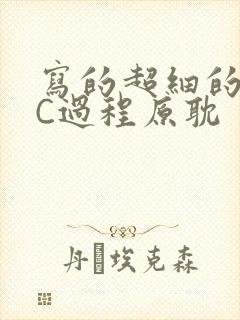 写的超细的多肉C过程原耽