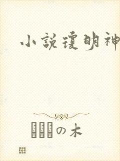 小说琼明神女录