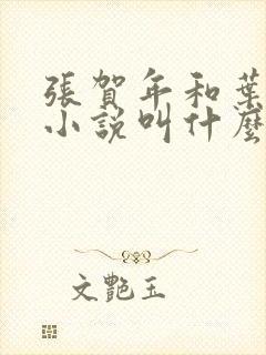 张贺年和叶繁姿小说叫什么名字