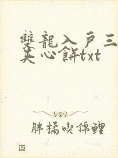 双龙入户三人行夹心饼txt