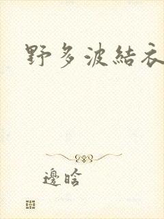 野多波结衣