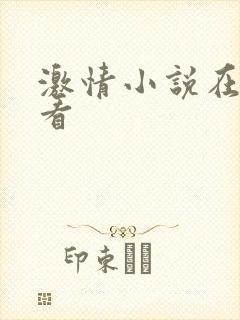 激情小说在线观看