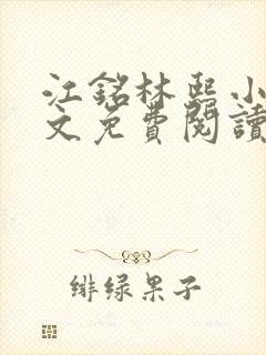 江铭林熙小说全文免费阅读