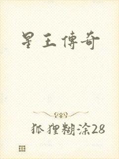 星王传奇