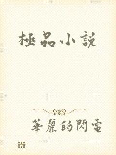 极品小说