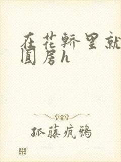 在花轿里就开始圆房h