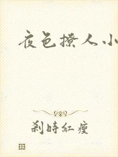 夜色撩人小说