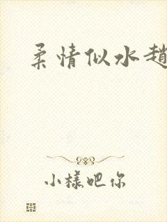 柔情似水赵雅儿