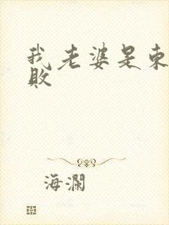 我老婆是东方不败