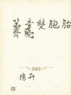 第章双胞胎姐妹齐飞