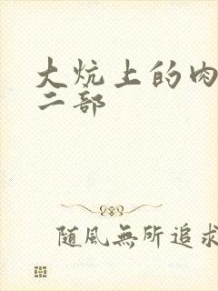大炕上的肉伦第二部