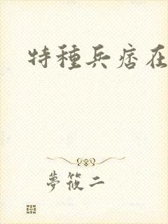 特种兵痞在都市