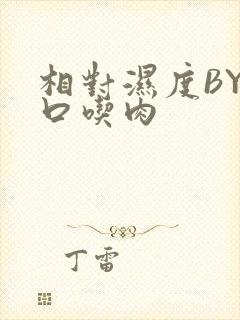 相对湿度BY大口吃肉