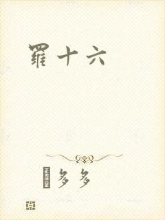 罗十六
