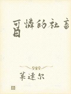 可怜的社畜东度日